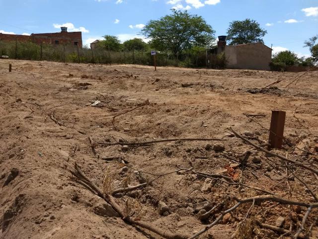 Venha adiquirir seu terreno em caruru agora!!!!? - Foto 2