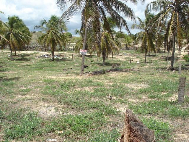 Terreno na Praia de Caraúbas Distrito de Maxaranguape - 630m²