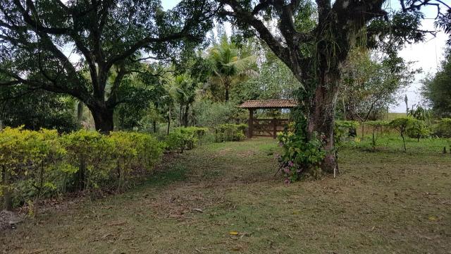 Ll Maravilhoso Sítio em Rio Dourado - Serra Mar- Rio das ostras - Foto 5