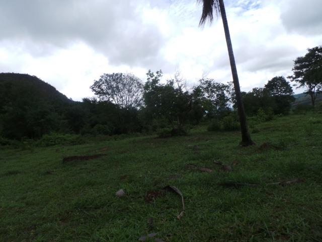 Fazenda 15 Alqueires Municipio Cocalzinho Aceita Imovel até 200 mil - Foto 2