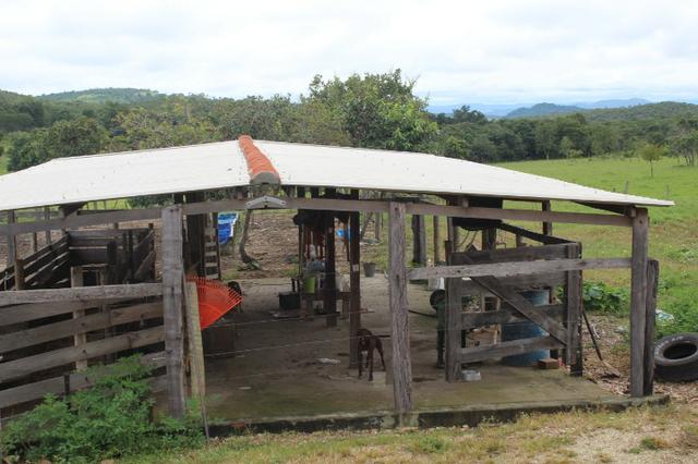 Fazenda 22 Alqueires Municpio Cocalzinho Aceita 50% em Trama em Goiania - Foto 5