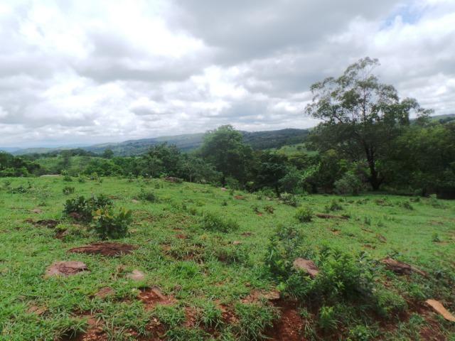 Fazenda 15 Alqueires Municipio Cocalzinho Aceita Imovel até 200 mil - Foto 8