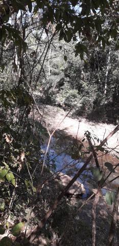 Vendo dois sitio próximo a guia - Foto 6