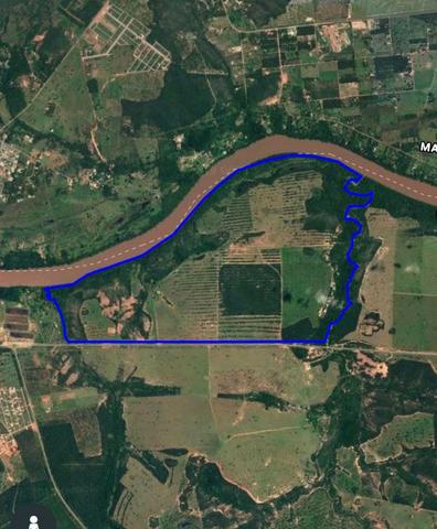 4 km de margens do Rio Araguaia. Fazenda 96 alqueires 464.64 Hectares - Aragarças-GO - Foto 2