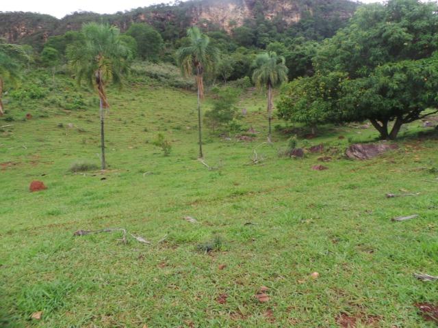 Fazenda 15 Alqueires Municipio Cocalzinho Aceita Imovel até 200 mil - Foto 13