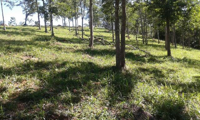 Fazenda 5.5 Alqueires Municipio de Pirinopolis Não aceita Imovel - Foto 17