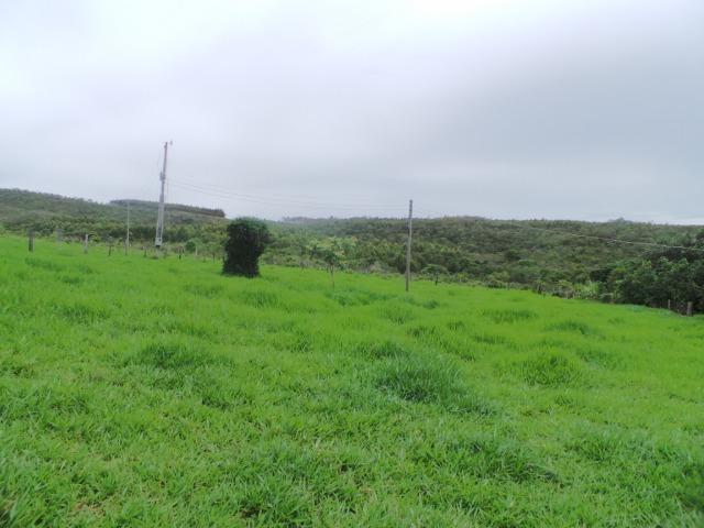 Fazenda 132 Alqueires Municipio Cocalzinho Aceita proposta - Foto 5
