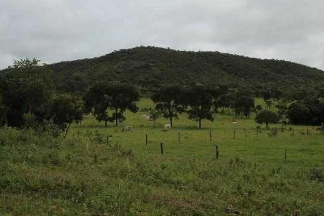 Fazenda 22 Alqueires Municpio Cocalzinho Aceita 50% em Trama em Goiania - Foto 7