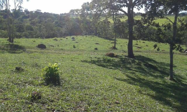 Fazenda 5.5 Alqueires Municipio de Pirinopolis Não aceita Imovel - Foto 3