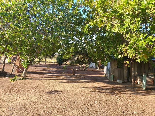Sitio em livramento - Foto 5