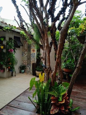 Excelente Casa - 04 Quartos - Conjunto Água Branca - Contagem - Foto 4
