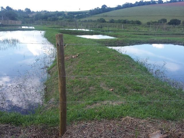 Fazenda Café Sul de Minas - Foto 4