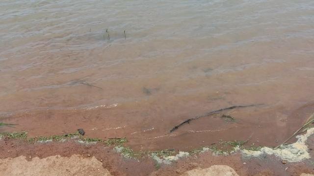 Vendo 2 Lotes na Represa de Três Marias - Foto 4