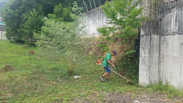 Corte de grama e limpeza de terreno - Foto 4