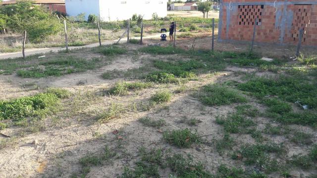 Vendo um lote - Foto 2