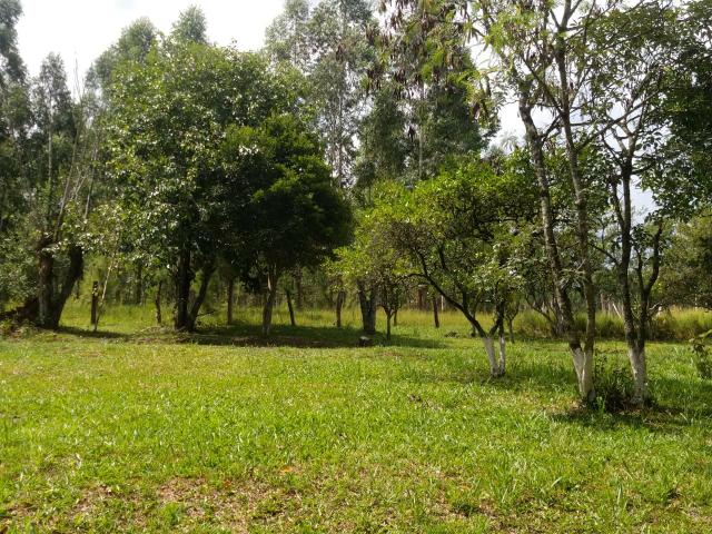 Chalé de campo - Foto 11