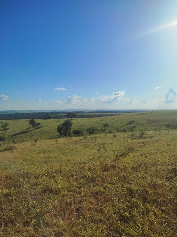 313 alqueires em caiapónia 