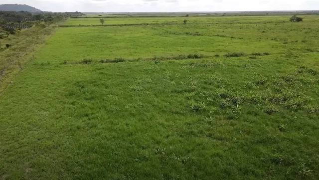 Fazenda de 26.040 hectares em