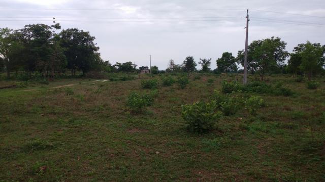 Chácara próximo ao pedra 90 - Foto 11