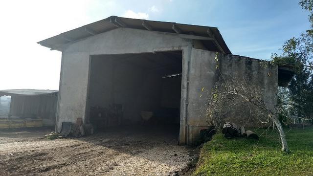 Área para soja próxima de Curitiba - Foto 4