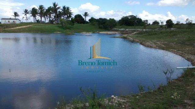 Fazenda à venda, 890000 m² por r$ 1.300.000 - teixeira do progresso - mascote/ba - Foto 3
