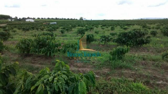 Fazenda à venda, 890000 m² por r$ 1.300.000 - teixeira do progresso - mascote/ba - Foto 18