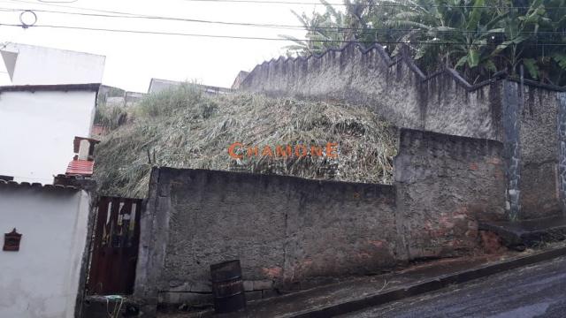 Lote no alto caiçaras