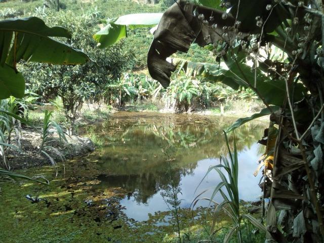 Chácara Santa Teresa - Parcelas de 800 mensais!! - Foto 7