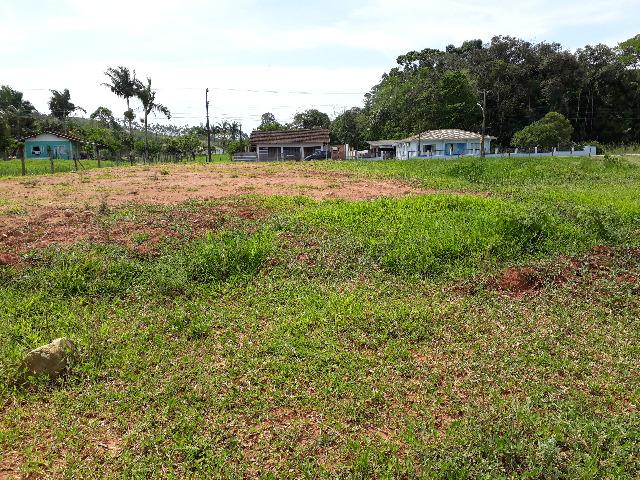 Terreno Lindo e Barato para Montar sua Chácara, Aceito Carro - Foto 4