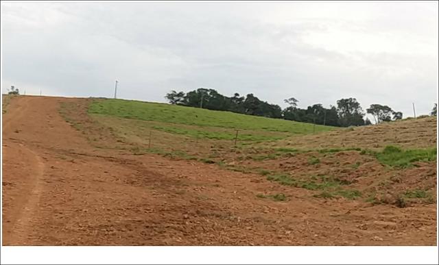 Terreno 100% planos - Foto 6