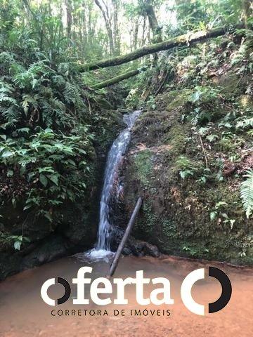 Chácara à venda em Serrinha, Contenda cod:549 - Foto 3