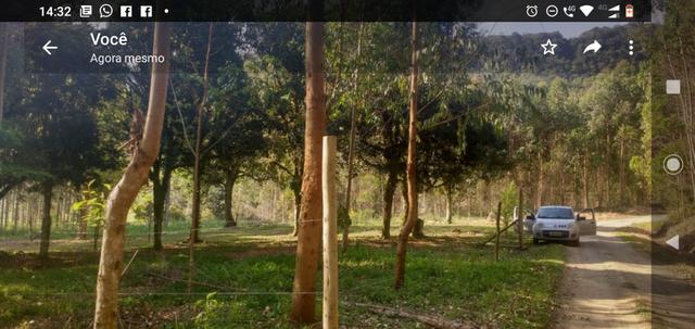 Terreno - Foto 14