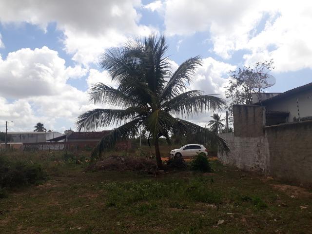 Terreno pechincha em parparnamirim - Foto 3