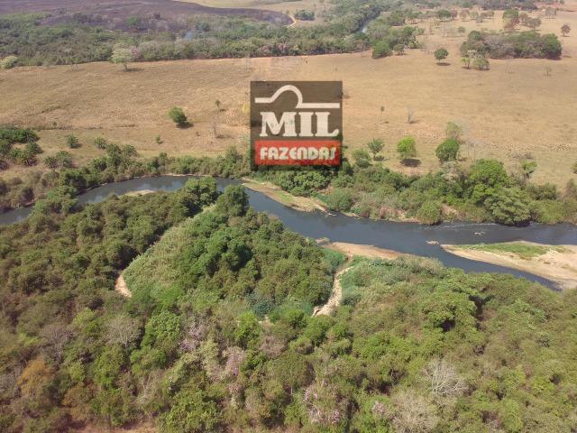 Fazenda à 35 km Goiânia (Beira Rio e Plana) - Foto 9