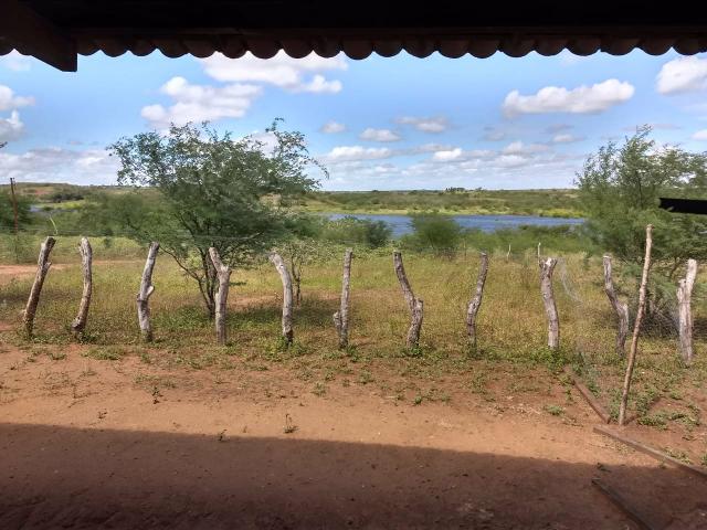 Fazenda em São Paulo do Potengi cortada pelo rio Potengi - Foto 8