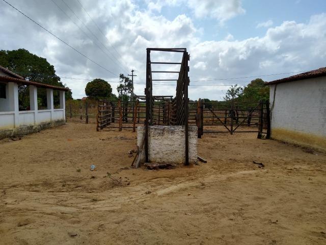 Granja com 4 há em bom jesus com 3 casas e outra em construção, piscina, galpão - Foto 6