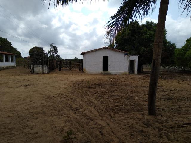 Granja com 4 há em bom jesus com 3 casas e outra em construção, piscina, galpão - Foto 7