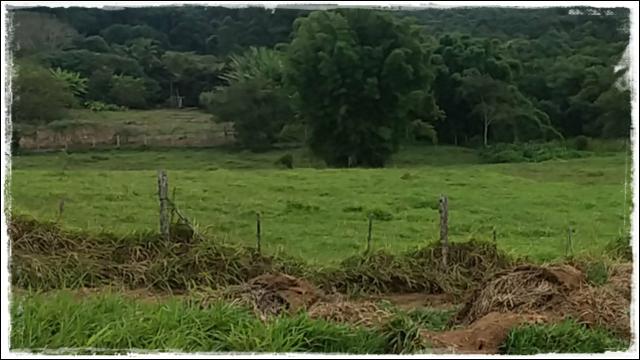 Lotes A 10 Minutos Do Centro De Ibiúna - Foto 5