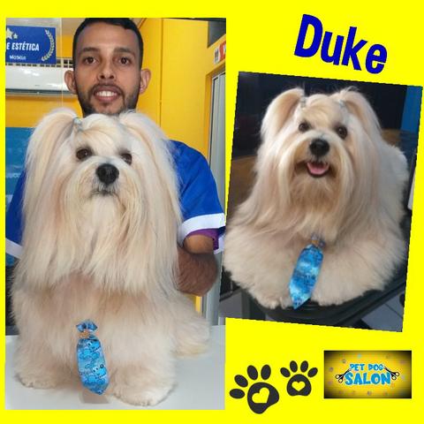 Pet dog salon - Foto 5