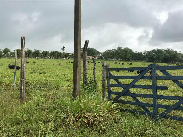 Fazenda com 480 hectares em Bom Jesus-RN - Foto 6