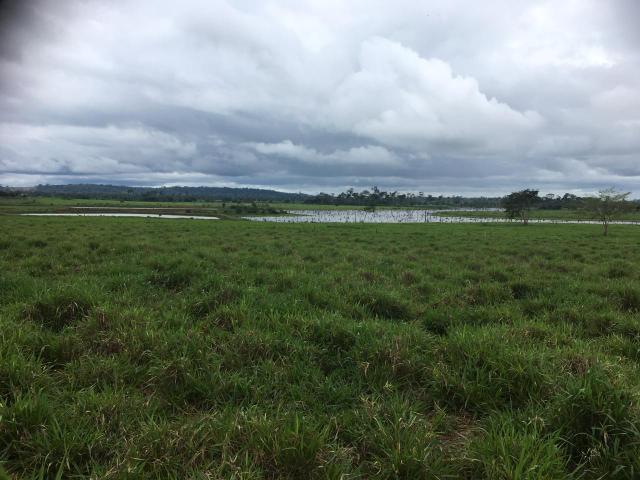 Fazenda 500 Alqueiro Aberto