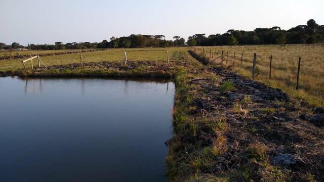 Chácara de 5000mts em Tijucas do Sul - Foto 5