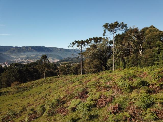 Lindo terreno em Urubici - Foto 3
