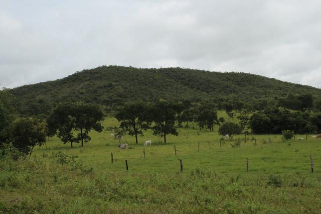 Fazenda 22 Alqueires Municpio Cocalzinho Aceita 50% em Trama em Goiania - Foto 20