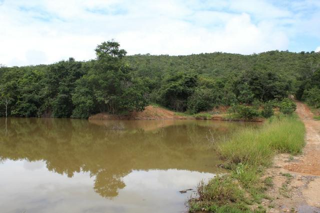 Fazenda 22 Alqueires Municpio Cocalzinho Aceita 50% em Trama em Goiania - Foto 15