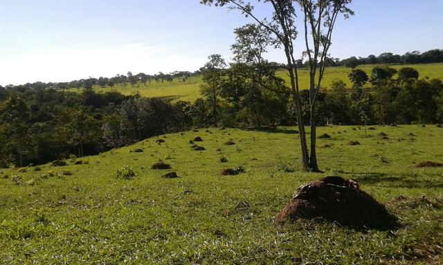 Fazenda 5.5 Alqueires Municipio de Pirinopolis Não aceita Imovel - Foto 7