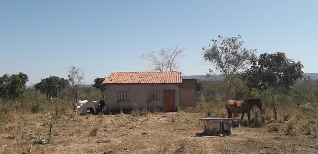 Vendo dois sitio próximo a guia - Foto 8