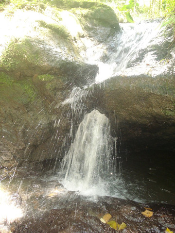 Foto - Liberdade - 