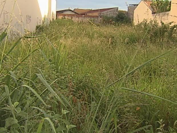 Faço limpezas de terrenos. e roçadas BH