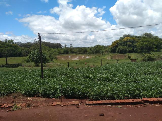 Chácara - Foto 4